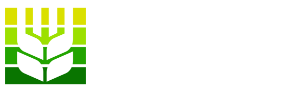 赏金船长